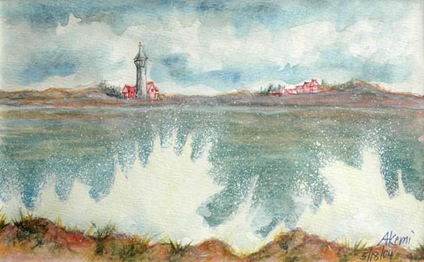 0001 -  The Art of Akemi Shimoji