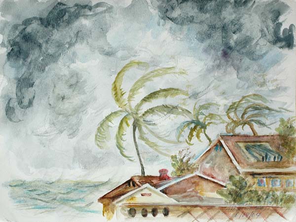 0003 -  The Art of Akemi Shimoji