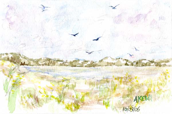 0011 -  The Art of Akemi Shimoji